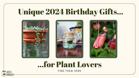 Unique 2024 Birthday Gifts for Plant Lovers: Find Them Here
