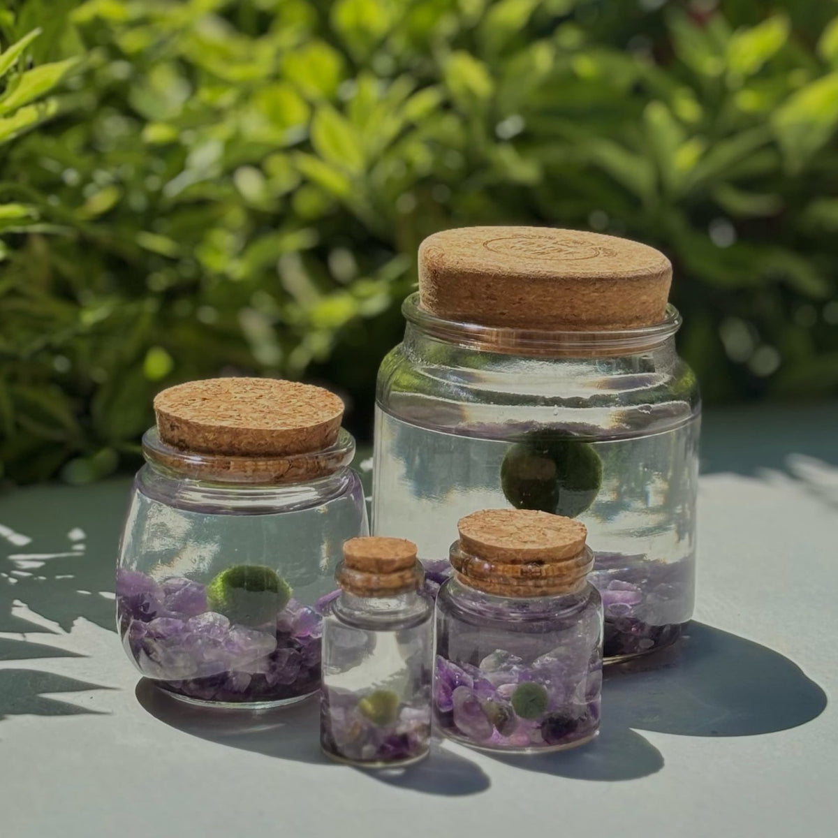 Amethyst Moss Family Combo