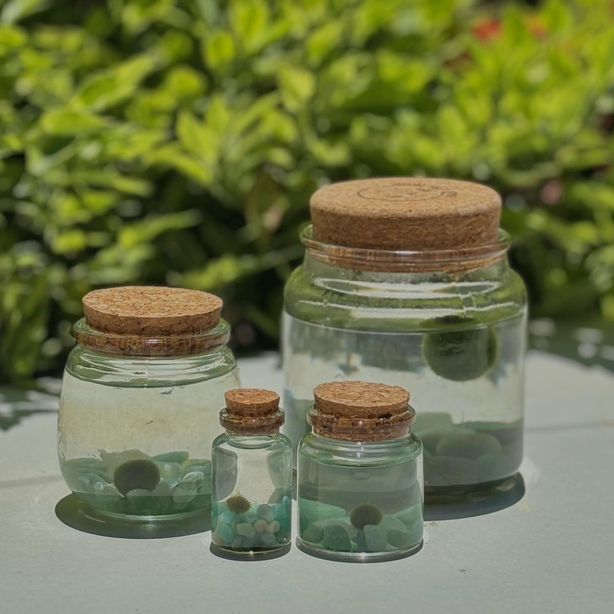 Aventurine Moss Family Combo
