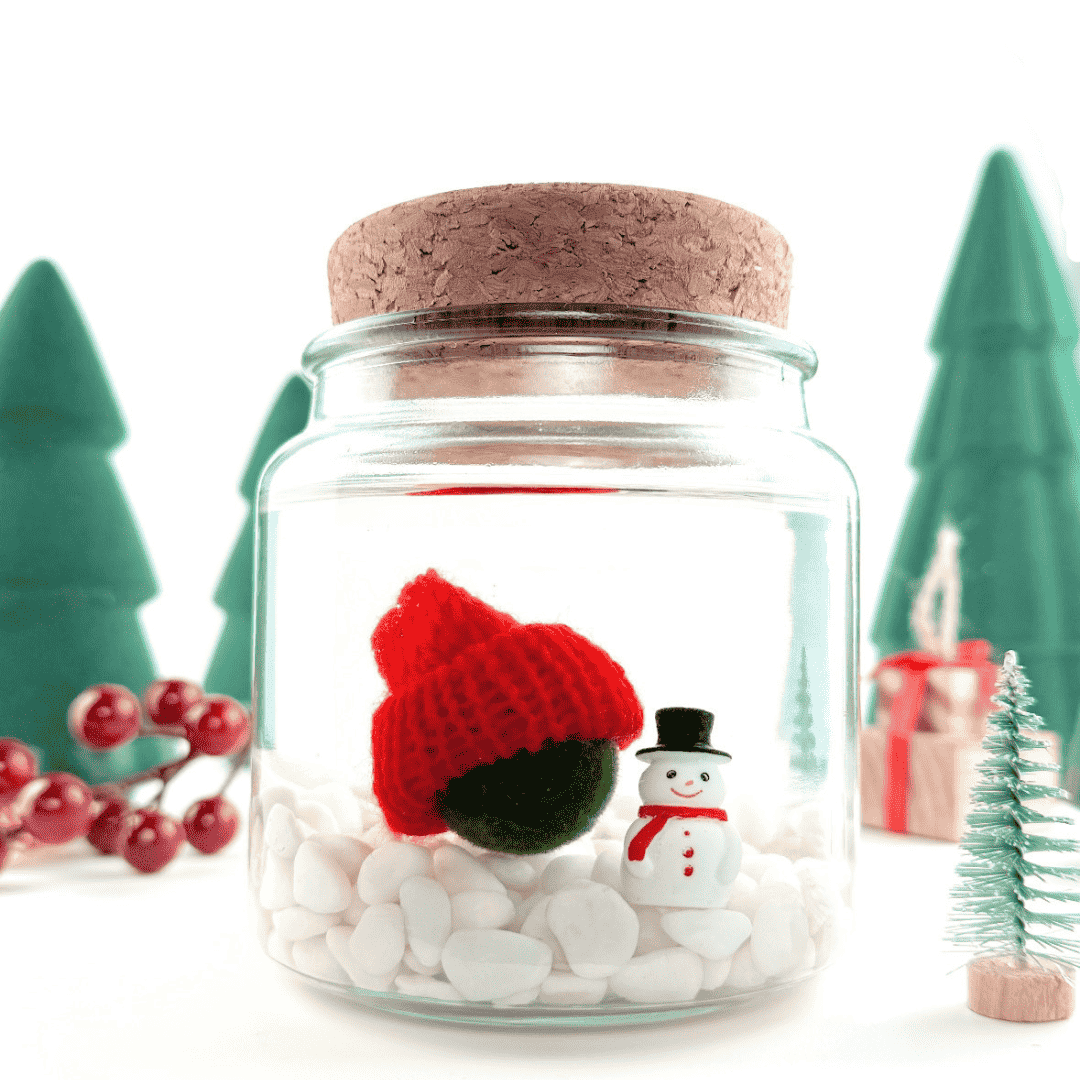 Moss Amigo with Red beanie and Snowfolk accessory