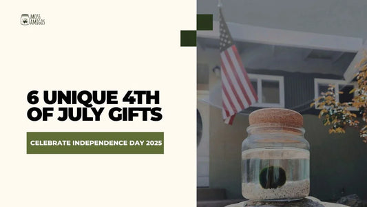 6 Unique 4th of July Gifts to Celebrate Independence Day 2025