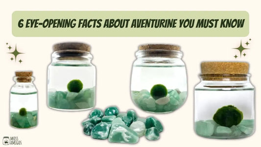 6 Eye-Opening Facts About Aventurine You Must Know