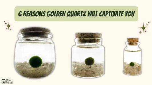 6 Reasons Golden Quartz Will Captivate You