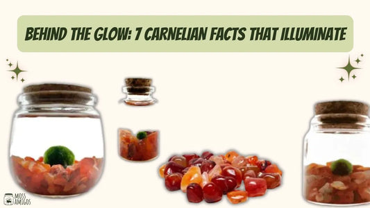 Behind the Glow: 7 Carnelian Facts That Illuminate