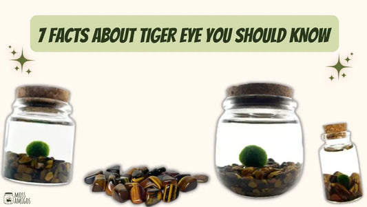 7 Facts About Tiger Eye You Should Know