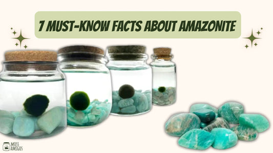 7 Must-Know Facts About Amazonite