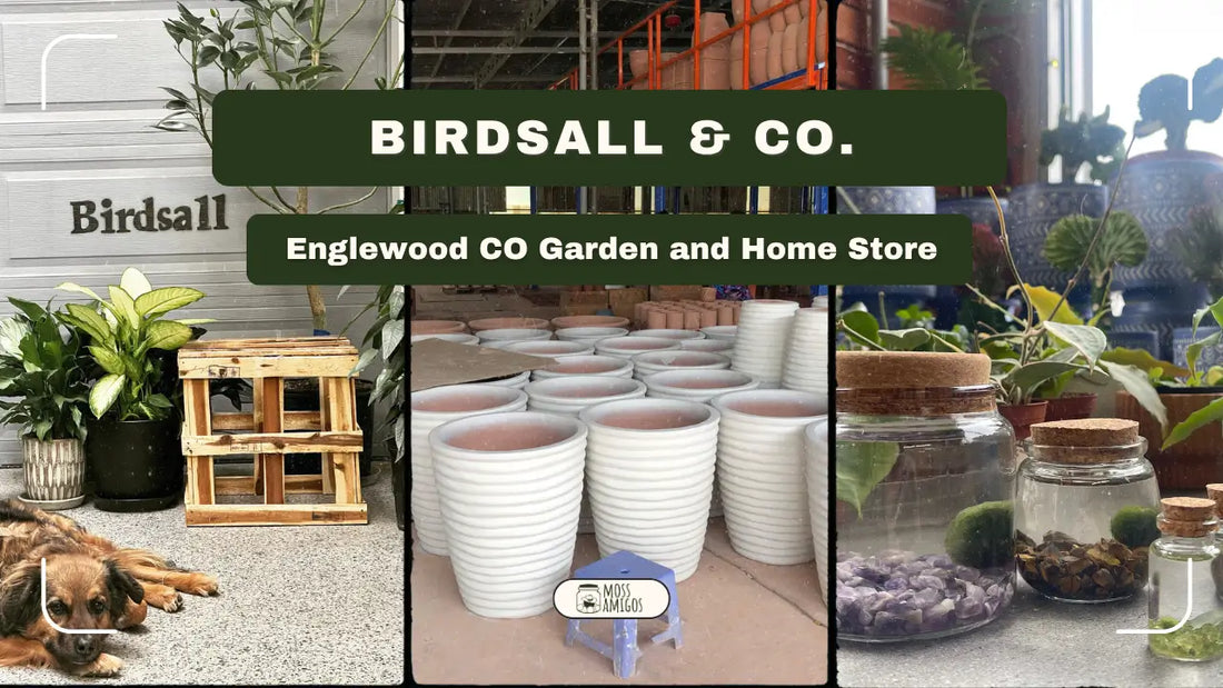 Birdsall & Co.: Englewood CO Garden and Home Store