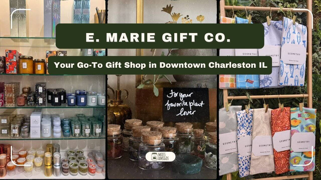 E. MARIE: Your Go-To Gift Shop in Downtown Charleston IL