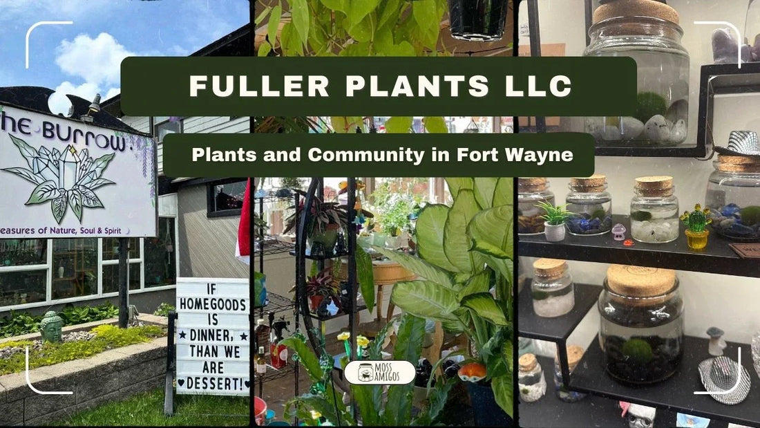 Fuller Plants LLC: Plants and Community in Fort Wayne