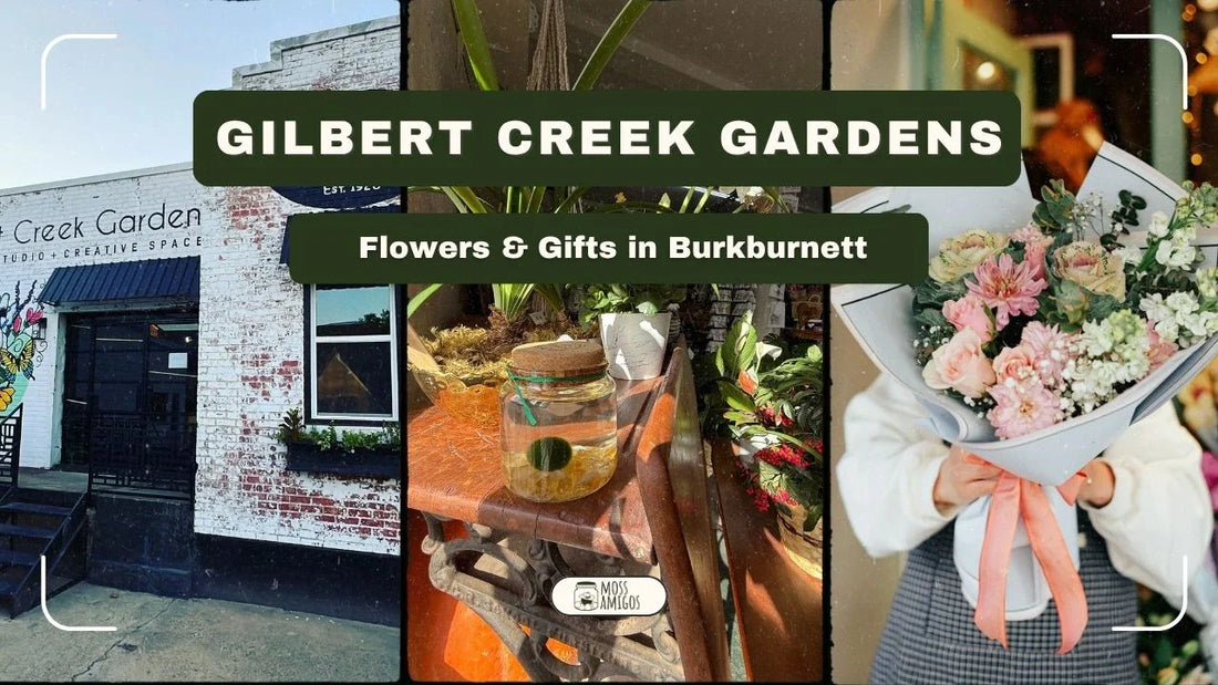 Gilbert Creek Gardens: Flowers & Gifts in Burkburnett
