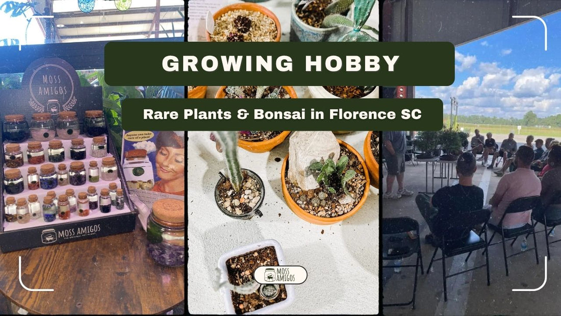 Growing Hobby: Rare Plants & Bonsai in Florence SC