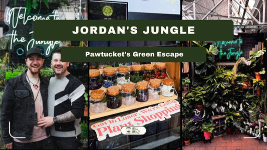 Jordan's Jungle: Pawtucket's Green Escape