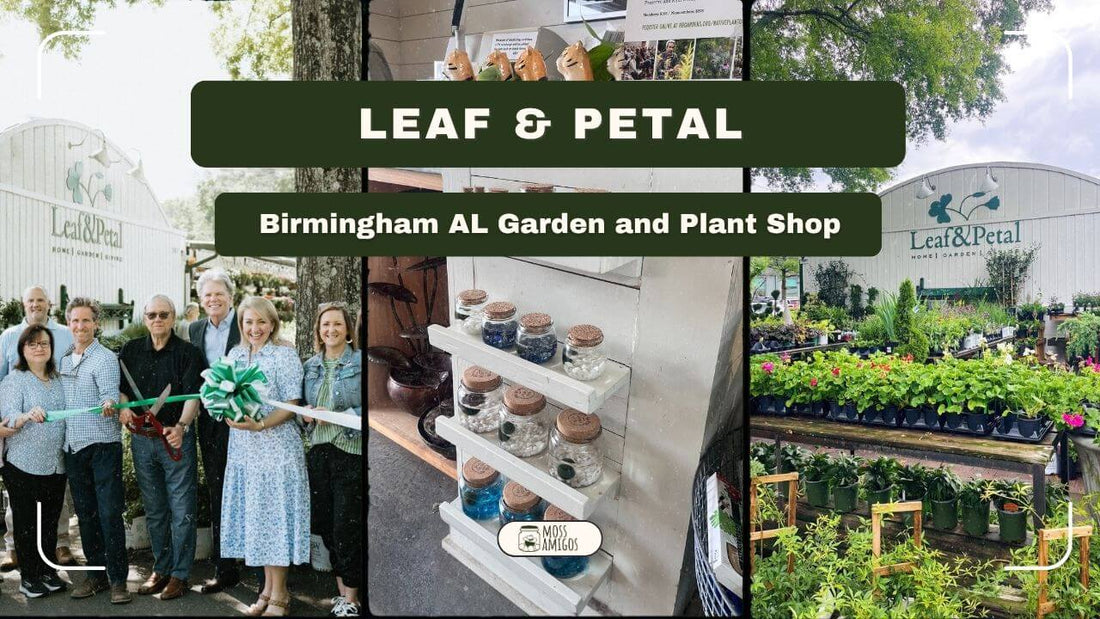 Leaf & Petal: Birmingham AL Garden and Plant Shop