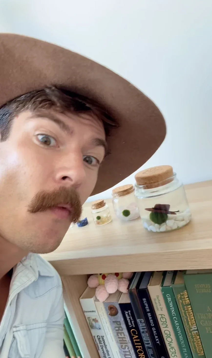 Why Matthew Gaston Loves Moss Amigos... And You Will Too!