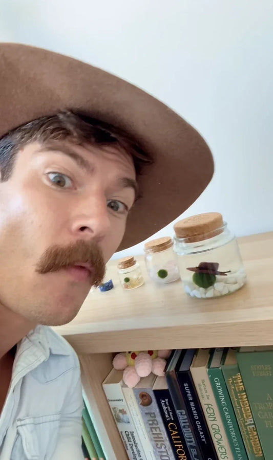 Why Matthew Gaston Loves Moss Amigos... And You Will Too!