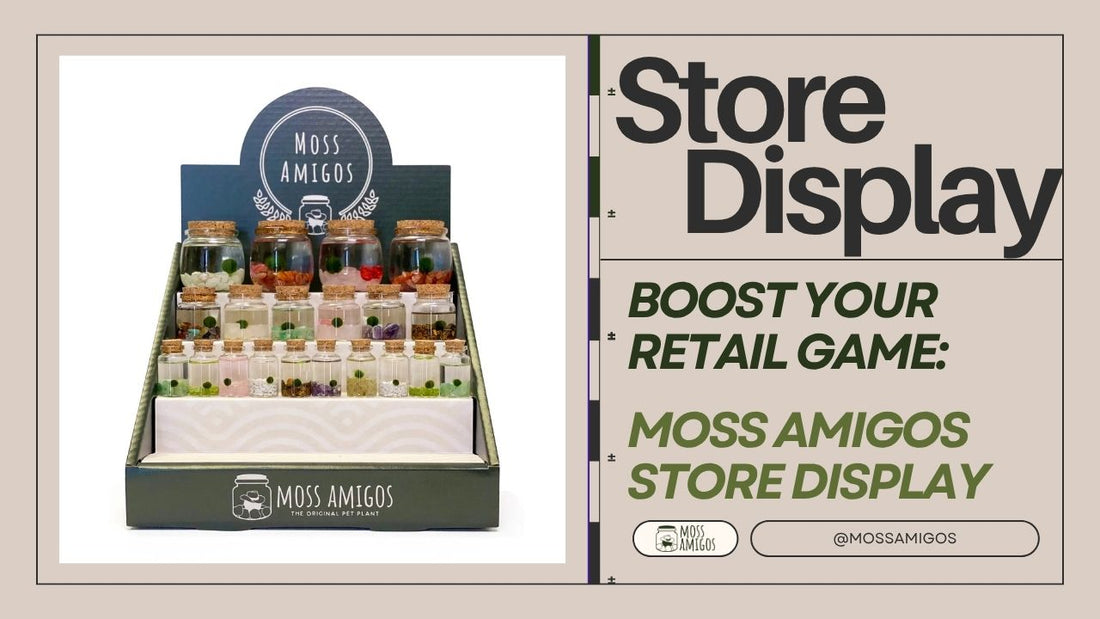 Boost Your Retail Game with the Moss Amigos Store Display