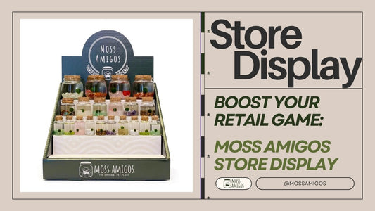 Boost Your Retail Game with the Moss Amigos Store Display