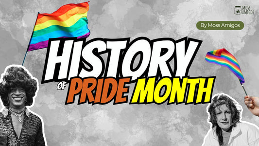 Pride Month History: A Journey of Courage and Celebration
