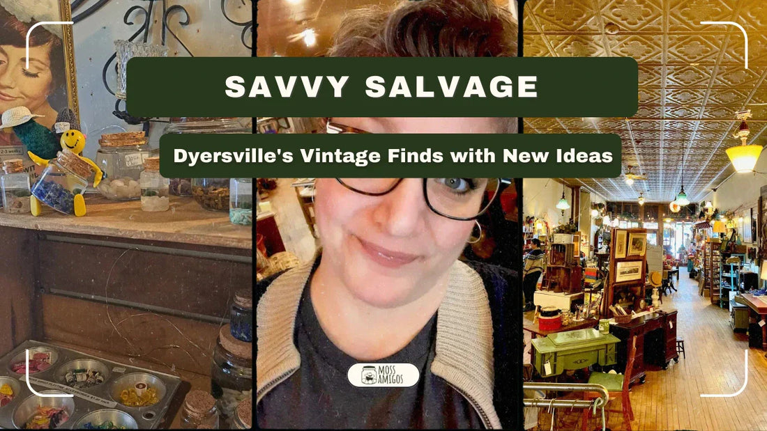 Savvy Salvage in Dyersville: Vintage Finds with New Ideas