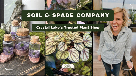 Why Soil & Spade is Crystal Lake’s Go-To Plant Shop