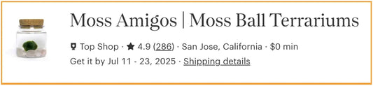 Moss Amigos | The #1 Moss Ball Brand Available in Retail Stores