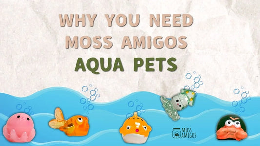 Why You Need Moss Amigos Aqua Pets – Don’t Miss Out!