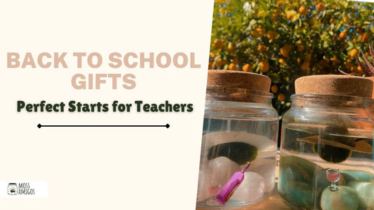 Back to School Gifts: Perfect Starts for Teachers