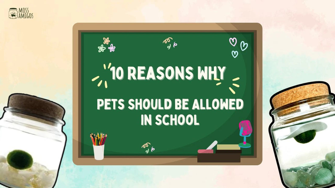 10 Reasons Why Pets Should Be Allowed in School