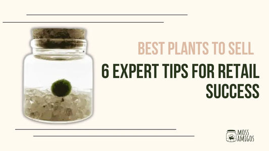 Best Plants to Sell: 6 Expert Tips for Retail Success