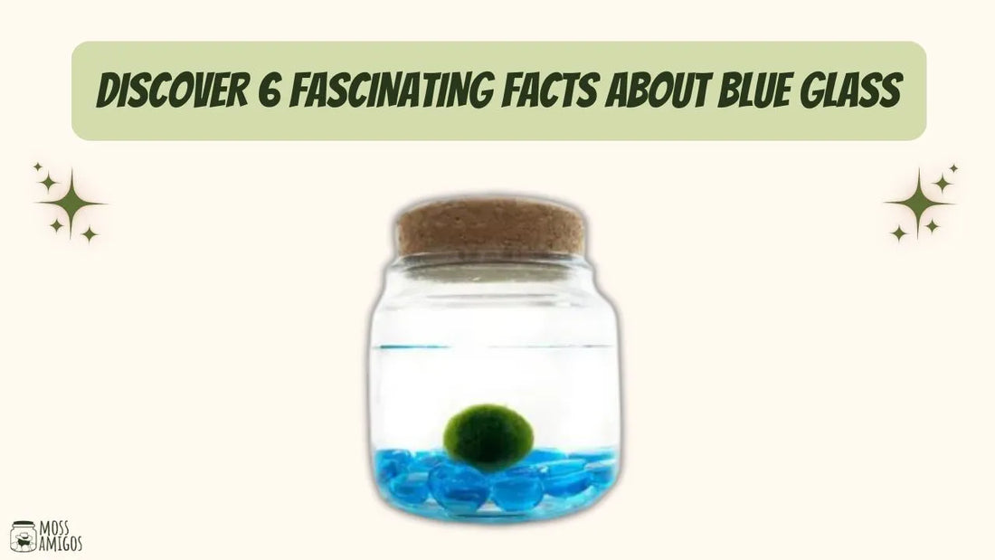 Discover 6 Fascinating Facts About Blue Glass