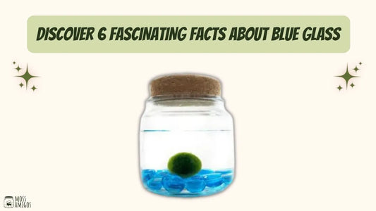 Discover 6 Fascinating Facts About Blue Glass