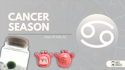 Cancer Season and Moss Amigos: A Time for Deep Connections