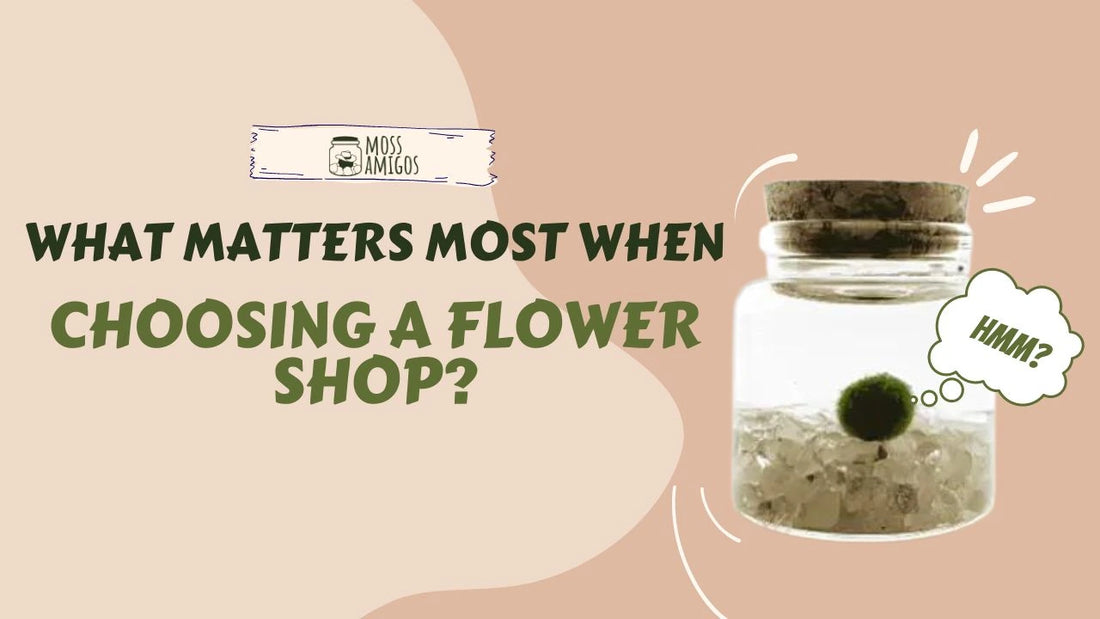 What Matters Most When Choosing a Flower Shop?