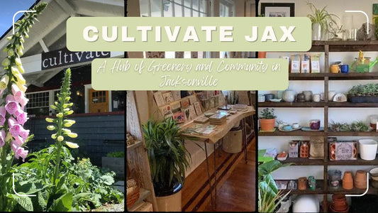 Cultivate Jax: A Hub of Greenery and Community in Jacksonville