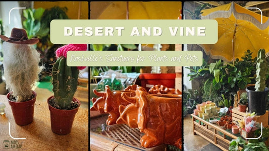 Desert and Vine: Nashville’s Sanctuary for Plants and Pets