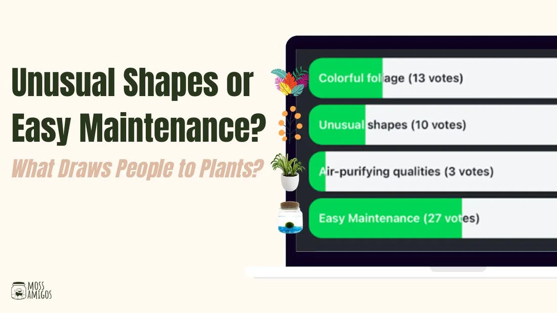 Unusual Shapes or Easy Maintenance? What Draws People to Plants?