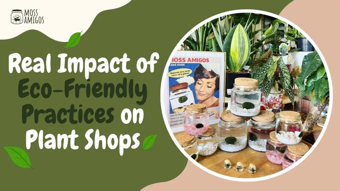 Real Impact of Eco-Friendly Practices on Plant Shops