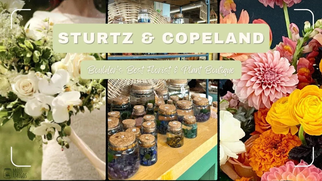 Sturtz and Copeland: Boulder's Premier Florist and Plant Shop