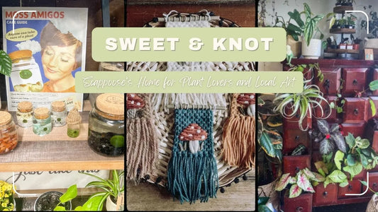 Sweet & Knot: Scappoose’s Home for Plant Lovers and Local Art