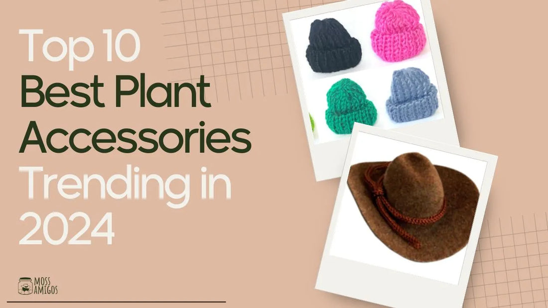 Top 10 Best Plant Accessories Trending in 2024