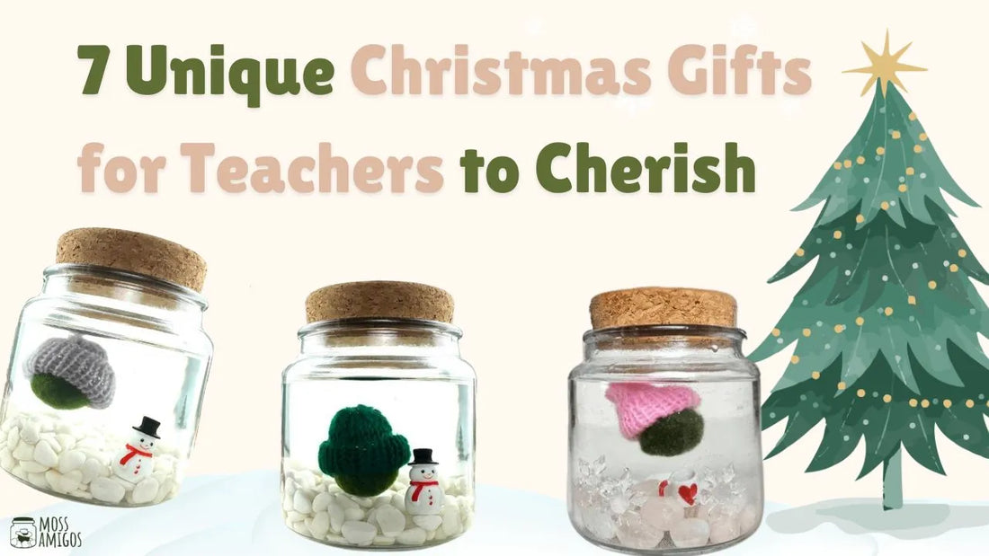 7 Unique Christmas Gifts for Teachers to Cherish