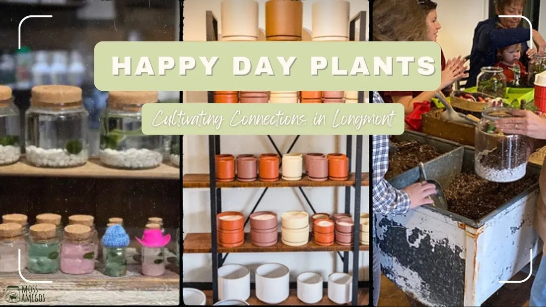 Happy Day Plants – Cultivating Connections in Longmont