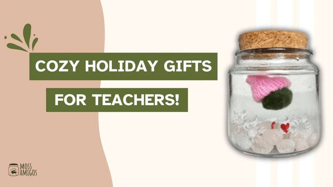 Cozy Holiday Gifts for Teachers They’ll Adore!