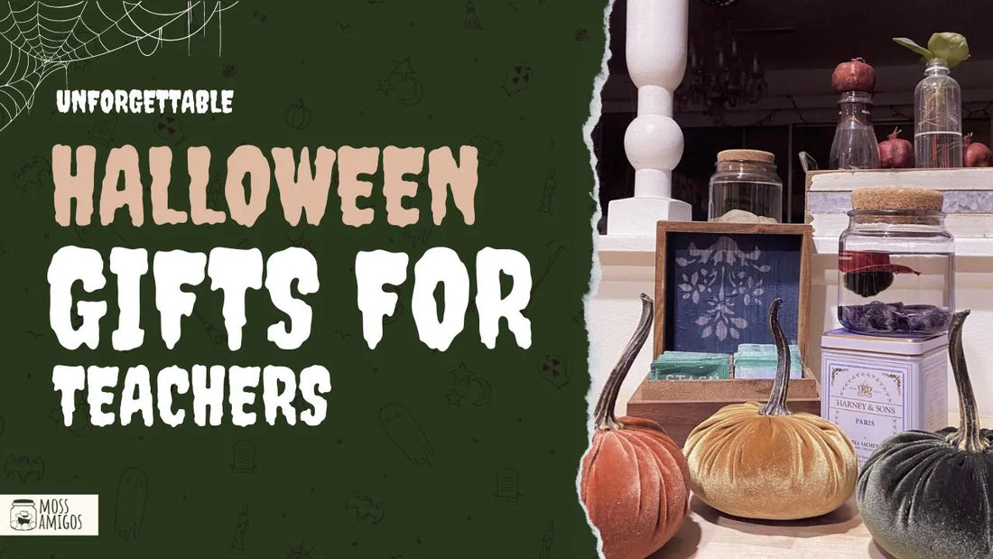 Unforgettable Spooky Halloween Gifts for Teachers