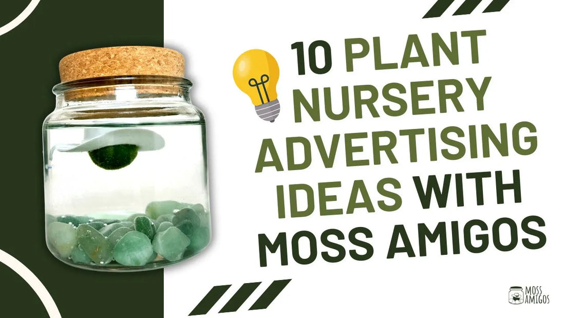 10 Plant Nursery Advertising Ideas with Moss Amigos