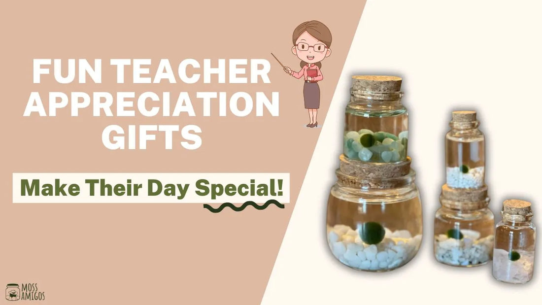 Fun Teacher Appreciation Gifts: Make Their Day Special!