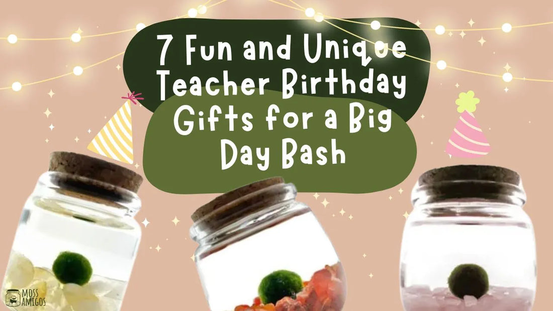 7 Fun and Unique Teacher Birthday Gifts for a Big Day Bash