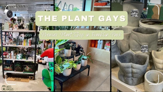 The Plant Gays: Premier Plant Shop in Franklin Park