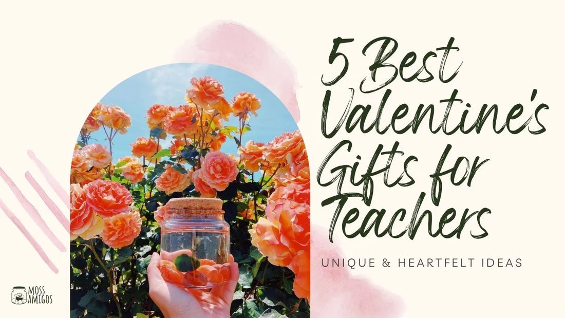 5 Best Valentine's Gifts for Teachers: Unique & Heartfelt Ideas