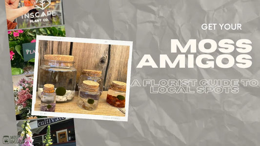 Get Your Moss Amigos: A Florist Guide to Local Spots